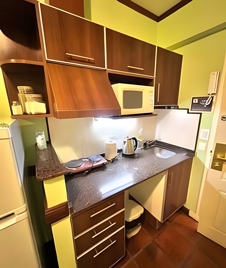 Viejo Lobo centrally located apartment