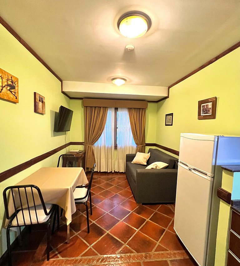 Viejo Lobo centrally located apartment