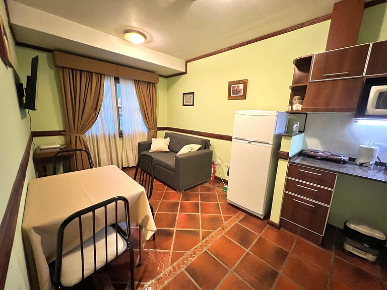 Viejo Lobo centrally located apartment