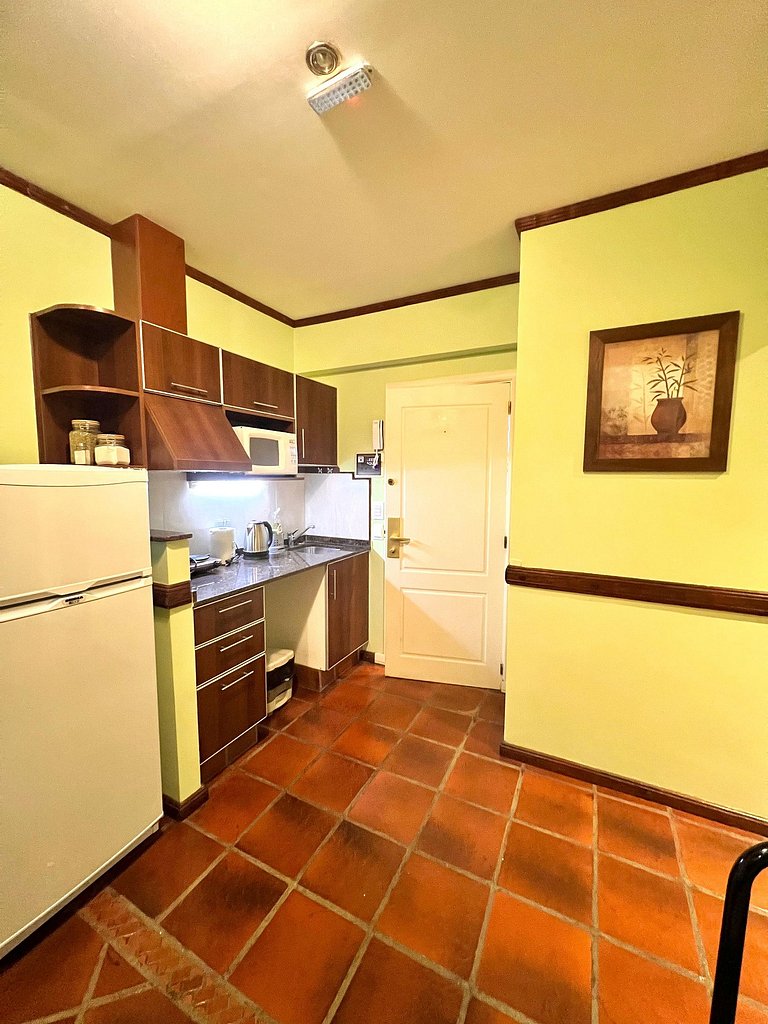 Viejo Lobo centrally located apartment